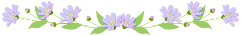 miyako_line_3.gif miyako_line_3.gif