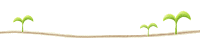 bn-s5.gif bn-s5.gif