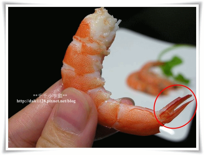 anigif1.gif anigif1.gif