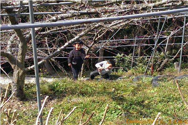 營地探險(一) 061