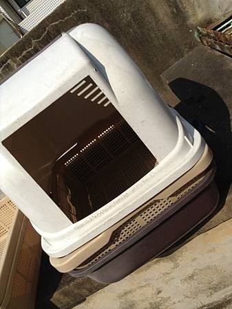 IMG_0880.JPG IMG_0880.JPG