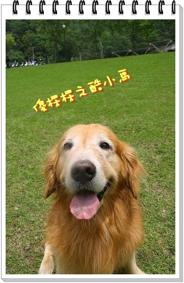 照片 267.jpg 照片 267.jpg