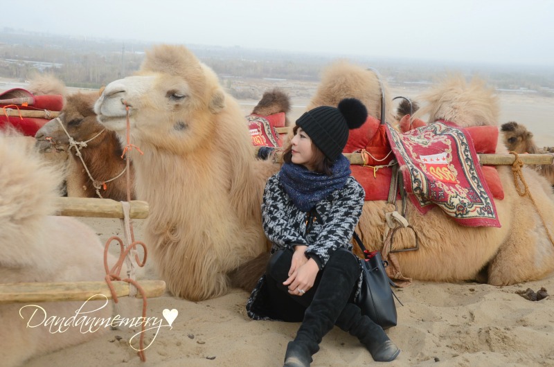 DSC_5295.jpg DSC_5295.jpg