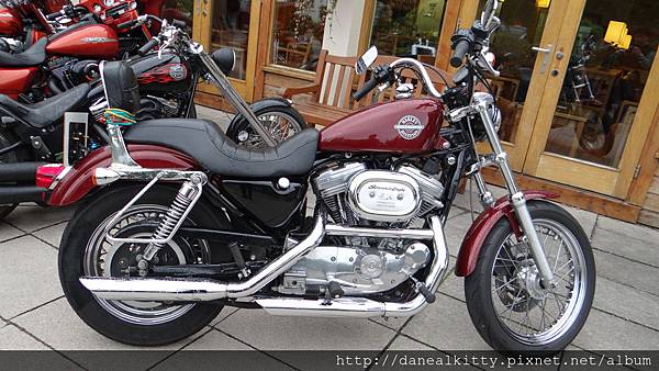 DSC01834.JPG DSC01834.JPG