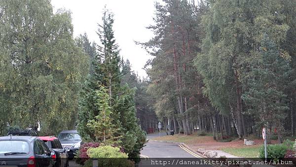 DSC01847.JPG DSC01847.JPG