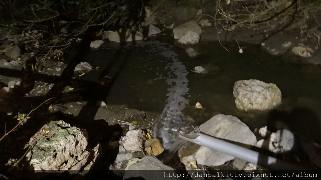 DSC01964.JPG DSC01964.JPG