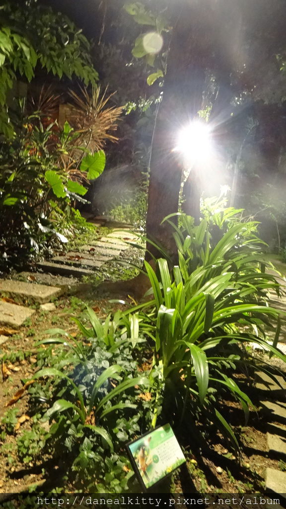 DSC01942.JPG DSC01942.JPG