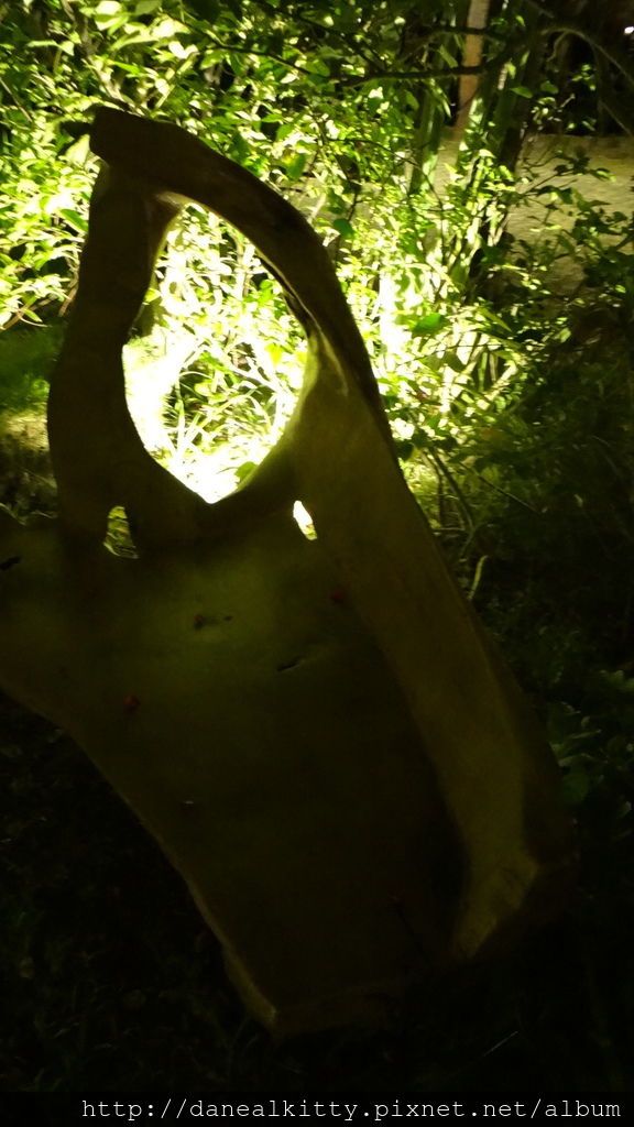 DSC01937.JPG DSC01937.JPG