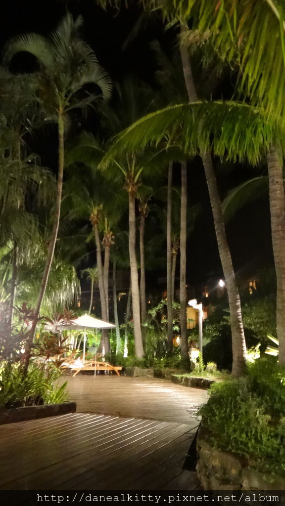 DSC01905.JPG DSC01905.JPG