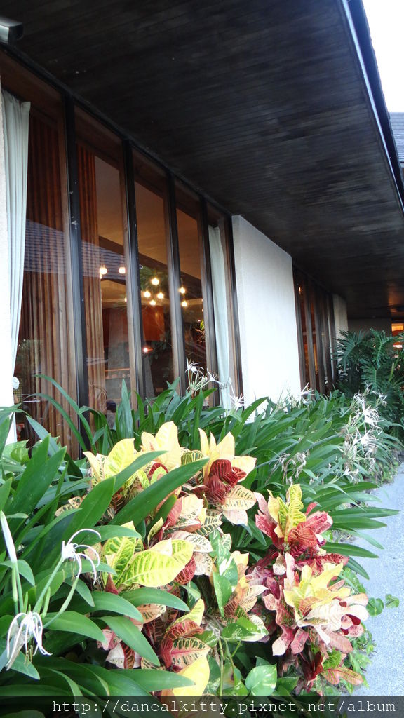 DSC01806.JPG DSC01806.JPG