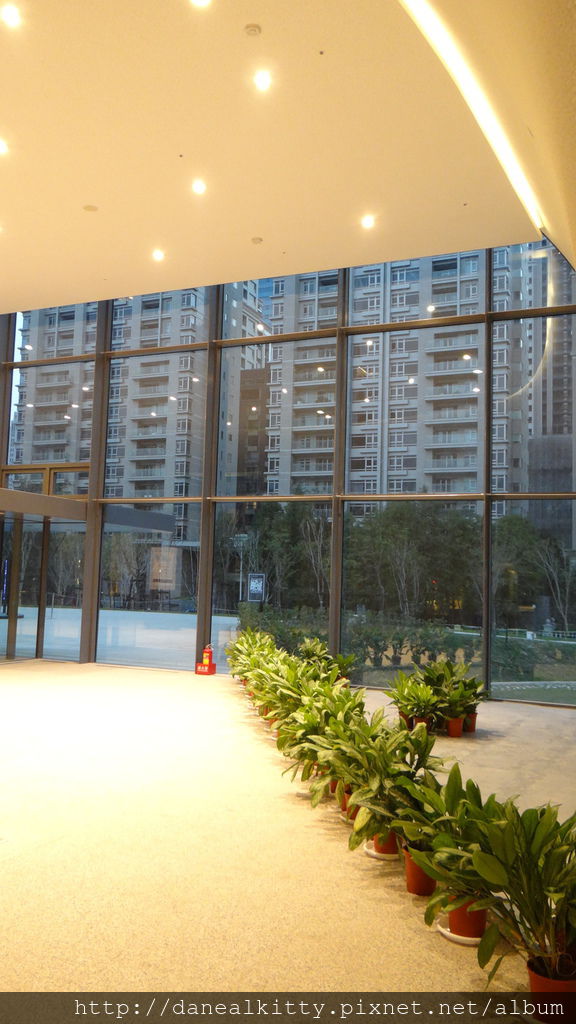 DSC06131.JPG DSC06131.JPG