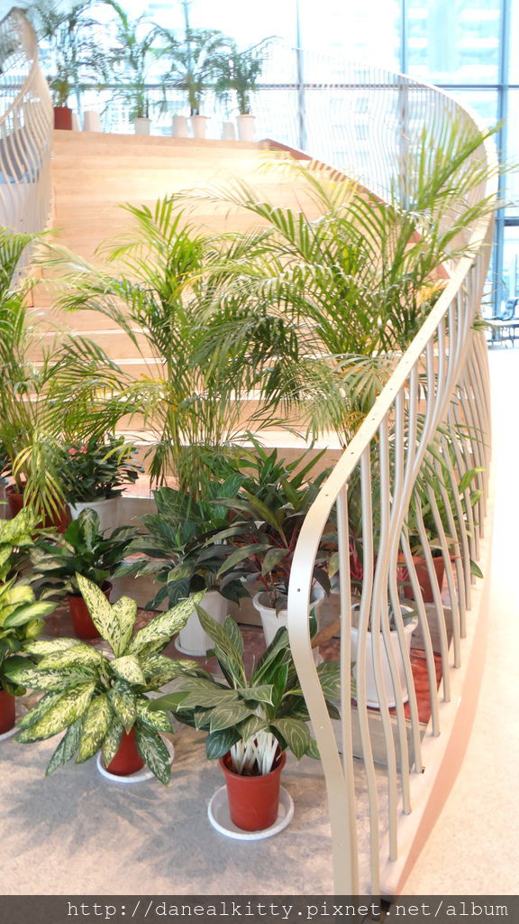 DSC06076.JPG DSC06076.JPG