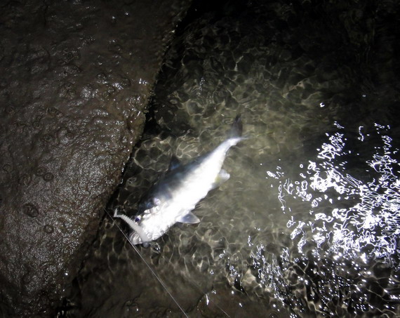 DSC00477.JPG DSC00477.JPG