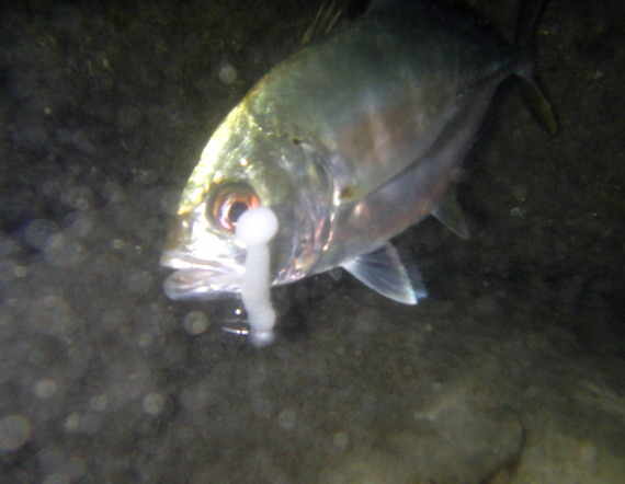 DSC00481.JPG DSC00481.JPG