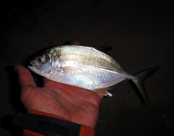 DSC00476.JPG DSC00476.JPG