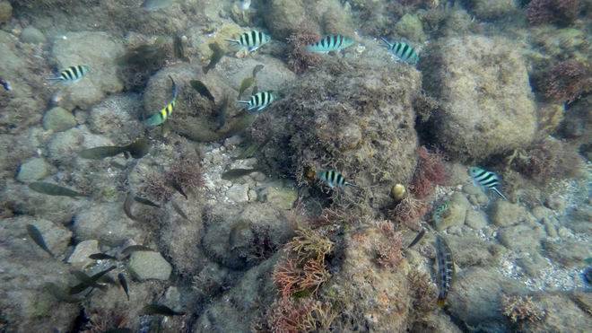 DSC02278.JPG DSC02278.JPG