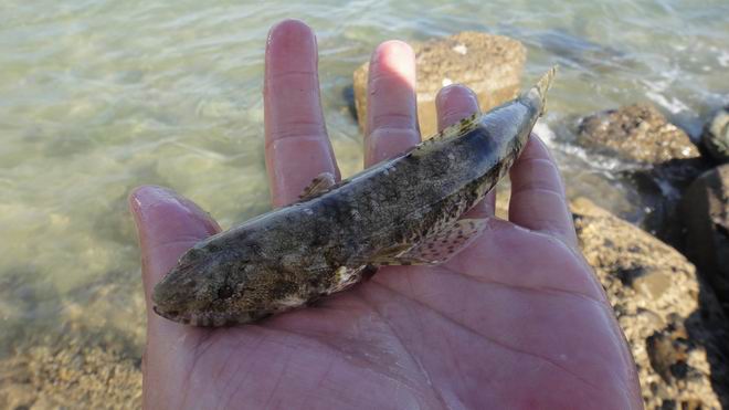 DSC02284.JPG DSC02284.JPG