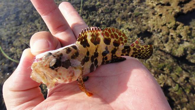 DSC02289.JPG DSC02289.JPG