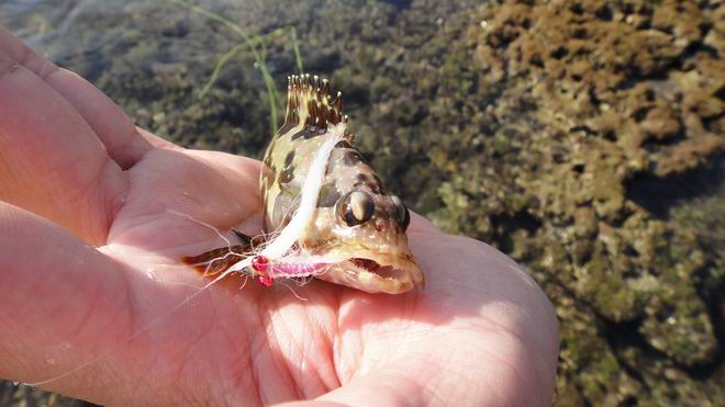 DSC02291.JPG DSC02291.JPG