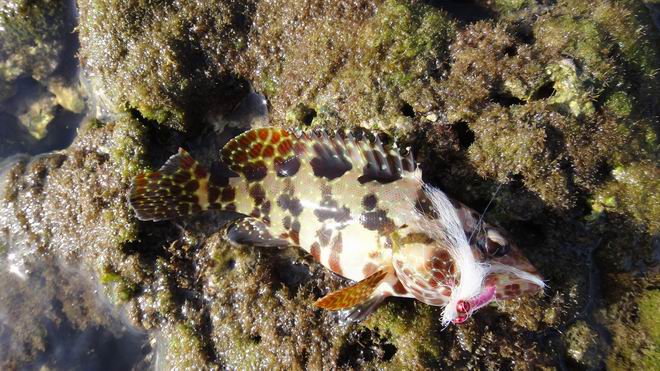 DSC02293.JPG DSC02293.JPG