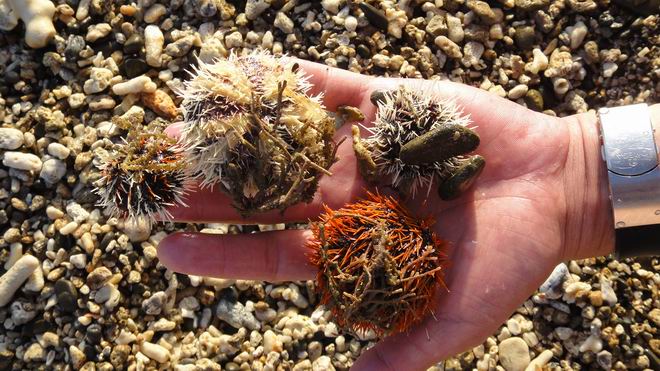 DSC02297.JPG DSC02297.JPG