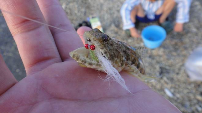 DSC02304.JPG DSC02304.JPG