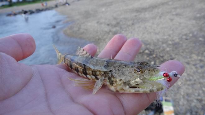 DSC02306.JPG DSC02306.JPG