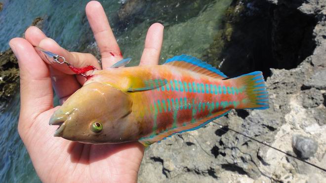 DSC02314.JPG DSC02314.JPG