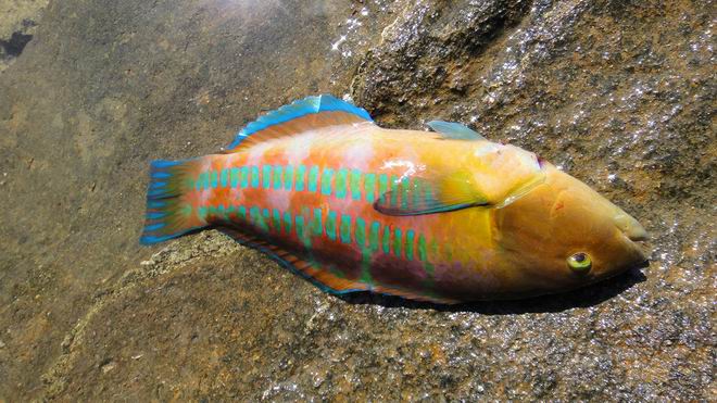 DSC02316.JPG DSC02316.JPG