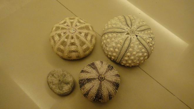 DSC02340.JPG DSC02340.JPG