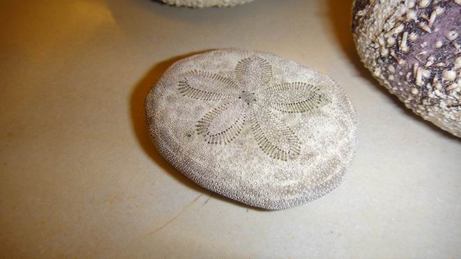 DSC02343.JPG DSC02343.JPG