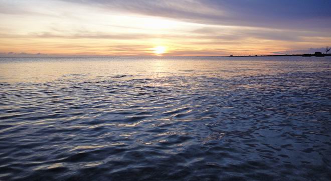 DSC02307.JPG DSC02307.JPG