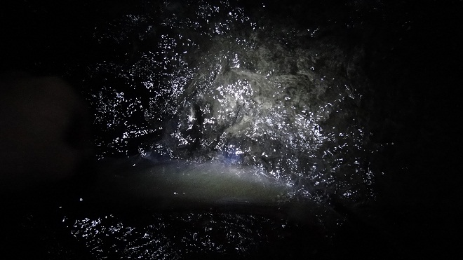 DSC05324.JPG DSC05324.JPG