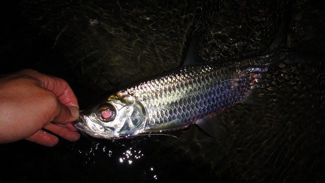 DSC05322.JPG DSC05322.JPG