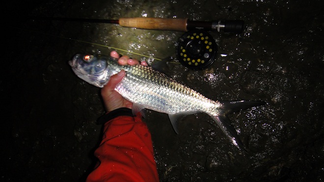 DSC05317.JPG DSC05317.JPG