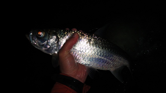 DSC05320.JPG DSC05320.JPG