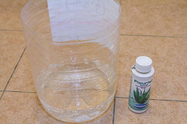 爪哇莫絲&神奇有機碳 爪哇莫絲&神奇有機碳