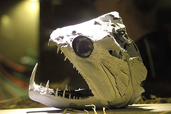 IMG_2350.JPG IMG_2350.JPG