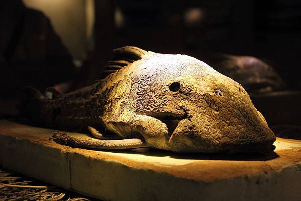 IMG_2354.JPG IMG_2354.JPG