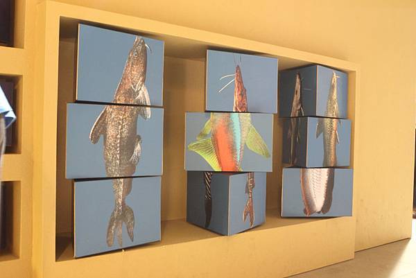 IMG_2364.JPG IMG_2364.JPG