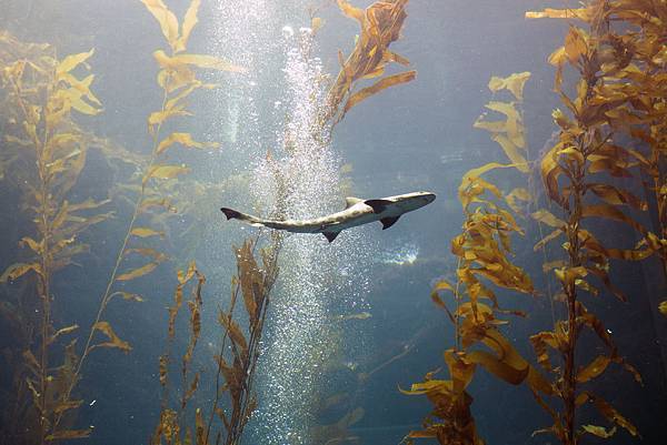 IMG_9023.jpg IMG_9023.jpg