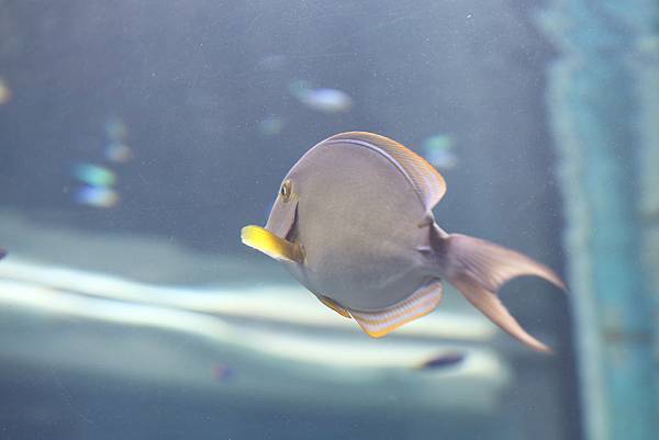 IMG_8869.JPG IMG_8869.JPG