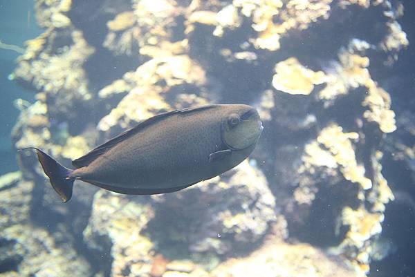 IMG_8877.JPG IMG_8877.JPG