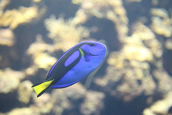 IMG_8878.JPG IMG_8878.JPG