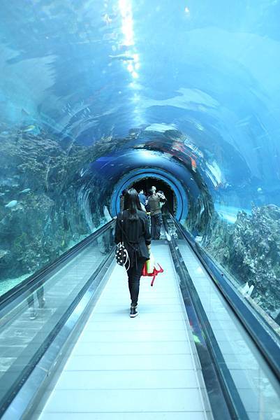 IMG_8893.JPG IMG_8893.JPG