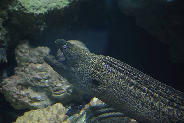 IMG_8914.JPG IMG_8914.JPG