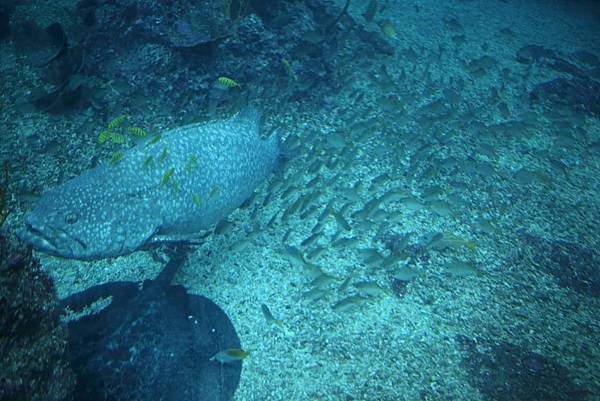 IMG_8930.JPG IMG_8930.JPG