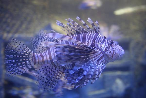 IMG_8938.JPG IMG_8938.JPG