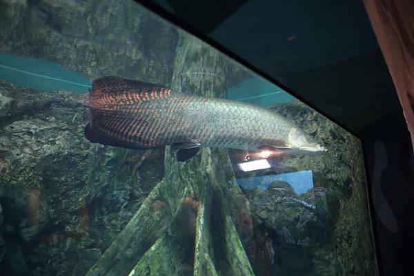 IMG_8970.JPG IMG_8970.JPG