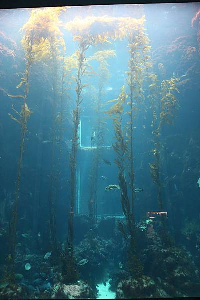 IMG_8979.JPG IMG_8979.JPG